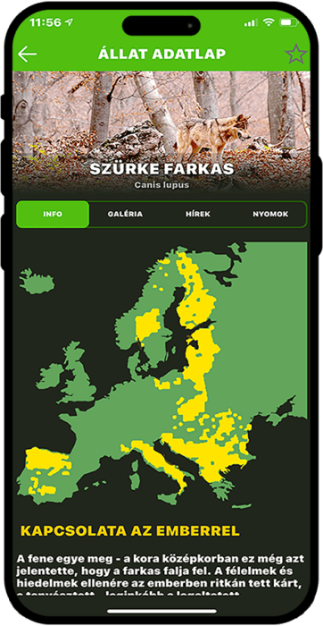 KOPÓ mobil képernyőfotó