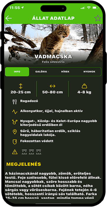 KOPÓ mobil képernyőfotó