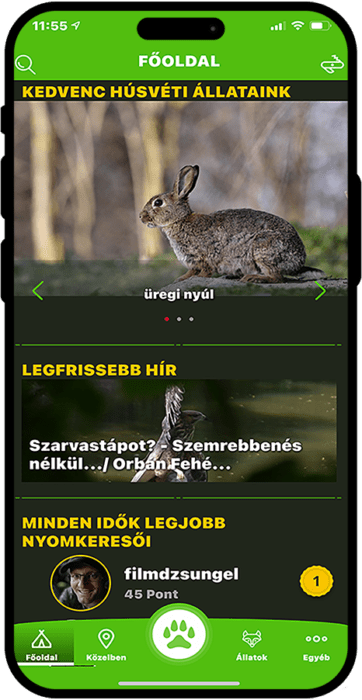 KOPÓ mobil képernyőfotó