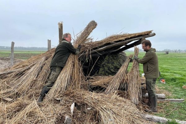 Szibériai tigris a magyar puszta bűvöletében 2 Interspotfilm forgatás lesépítés