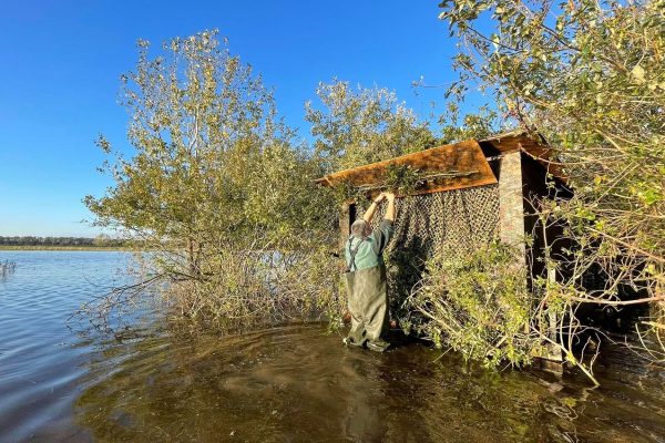 Szibériai tigris a magyar puszta bűvöletében 5 Vizi lesépítés