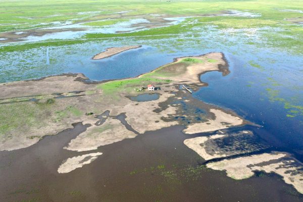 Szibériai tigris a magyar puszta bűvöletében 7 Elárasztott Hortobágy