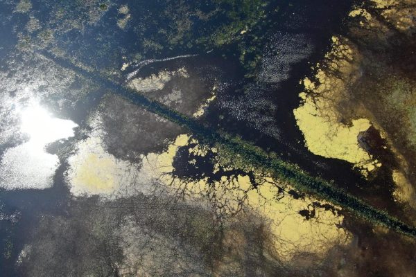 Szibériai tigris a magyar puszta bűvöletében 9 Víztenger